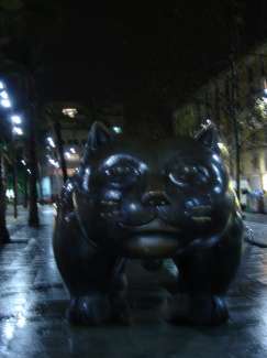 DSC00088.JPG